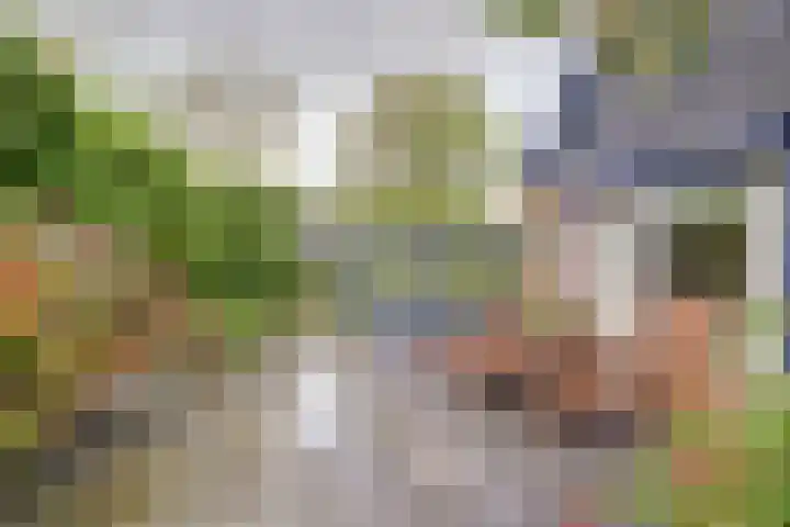 Westerenban 8 Burgh-Haamstede thumbnail 32