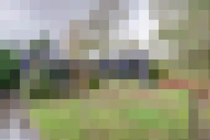 Westerenban 8 Burgh-Haamstede thumbnail 35