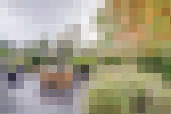 Westerenban 8 Burgh-Haamstede thumbnail 36