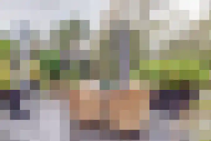 Westerenban 8 Burgh-Haamstede thumbnail 37