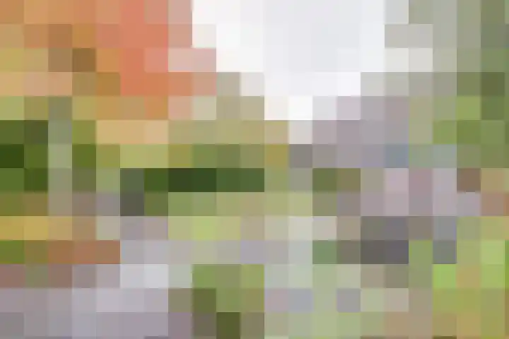 Westerenban 8 Burgh-Haamstede thumbnail 38