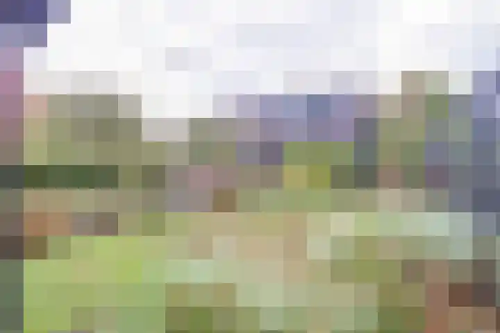 Westerenban 8 Burgh-Haamstede thumbnail 39