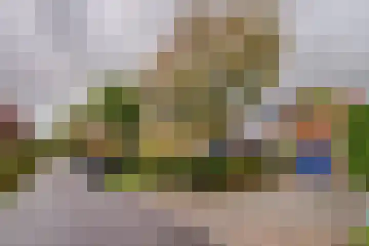 Westerenban 8 Burgh-Haamstede thumbnail 41