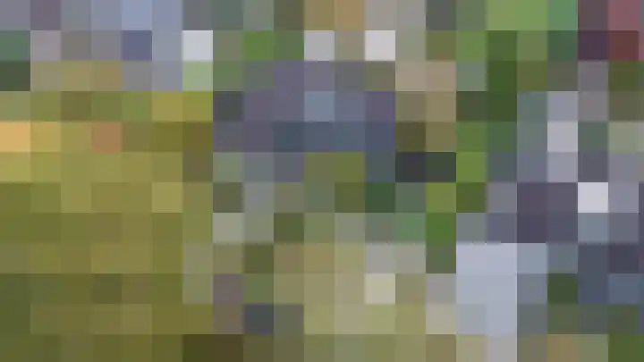 Westerenban 8 Burgh-Haamstede thumbnail 42