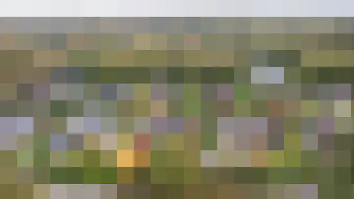 Westerenban 8 Burgh-Haamstede thumbnail 43
