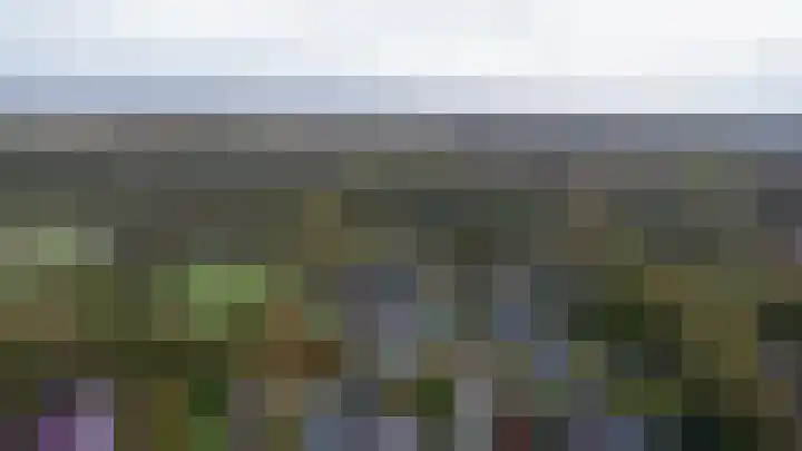 Westerenban 8 Burgh-Haamstede thumbnail 46