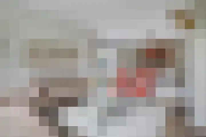 Westerenban 8 Burgh-Haamstede thumbnail 5