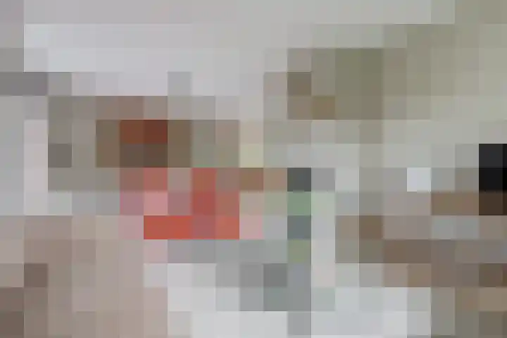 Westerenban 8 Burgh-Haamstede thumbnail 6