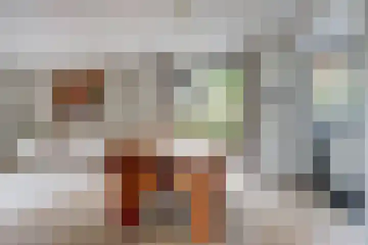 Westerenban 8 Burgh-Haamstede thumbnail 9