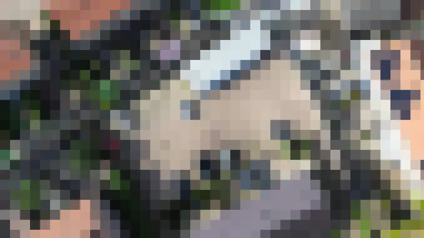 Westerengstraat 101 Dodewaard thumbnail 7