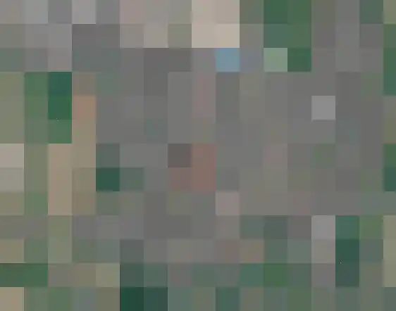 Westerengstraat 37 Dodewaard thumbnail 8