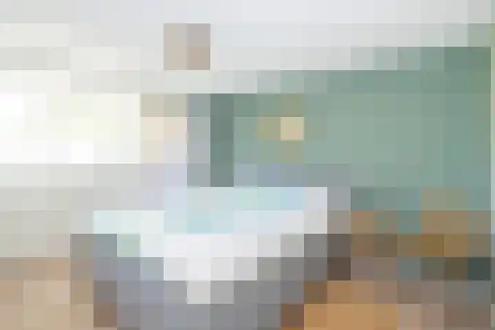 Westerenkweg 9 Vaassen thumbnail 27