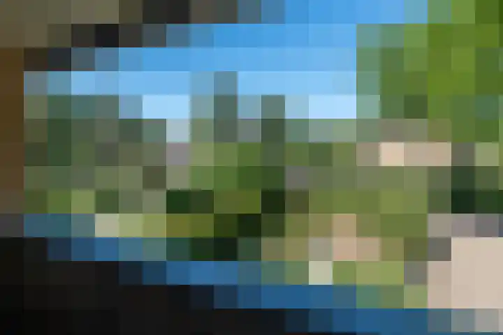 Westerenkweg 9 Vaassen thumbnail 29