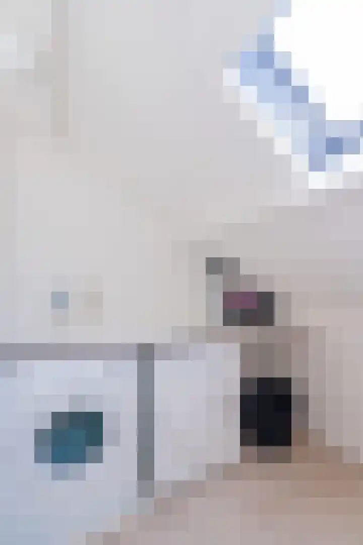 Westerenkweg 9 Vaassen thumbnail 38