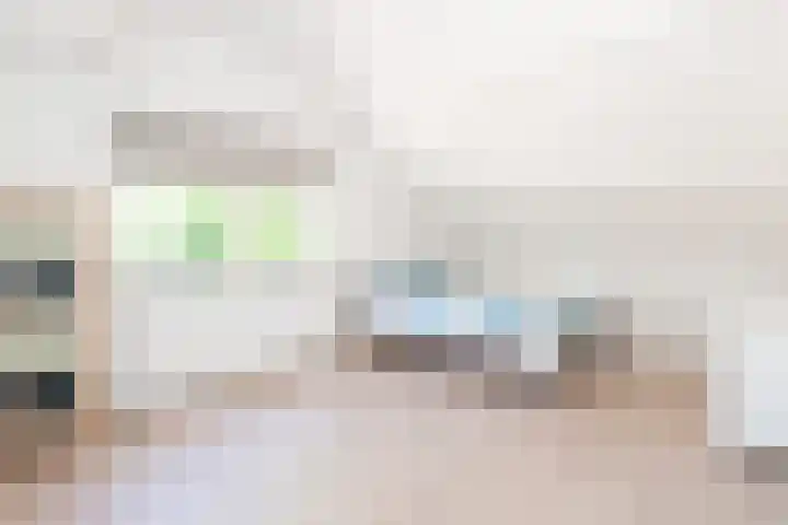 Westerenkweg 9 Vaassen thumbnail 39