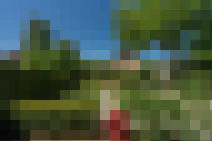 Westerenkweg 9 Vaassen thumbnail 4