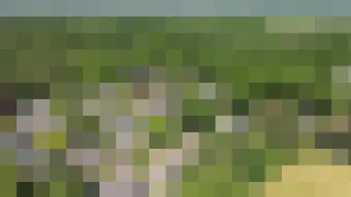 Westerenkweg 9 Vaassen thumbnail 48