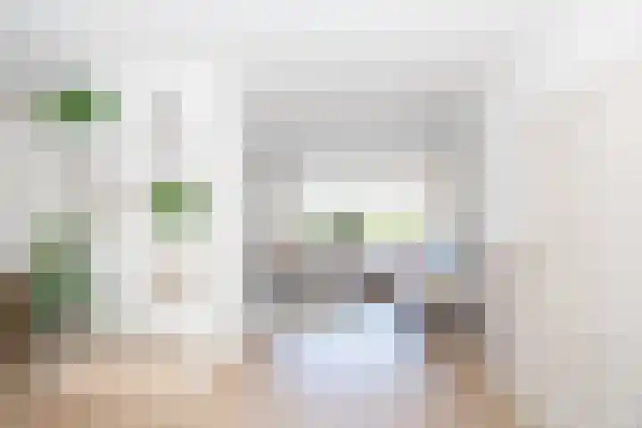 Westerenkweg 9 Vaassen thumbnail 9