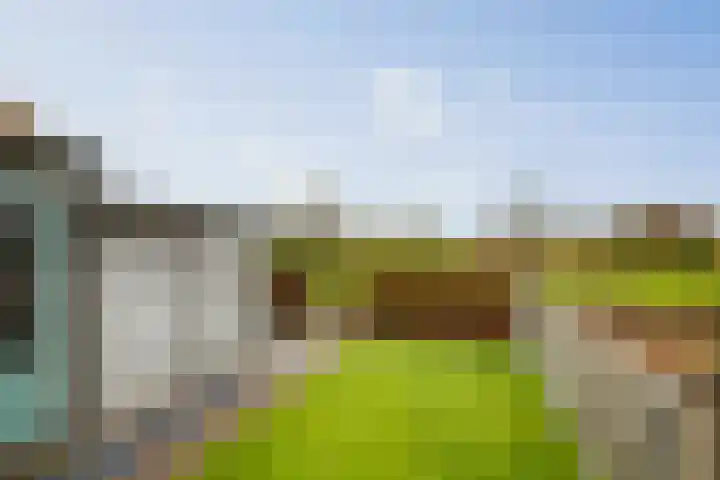Westererf 12 Nijbroek thumbnail 26