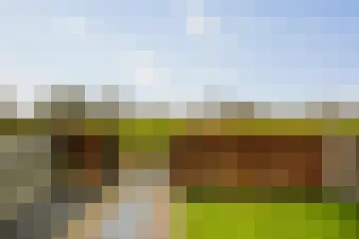 Westererf 12 Nijbroek thumbnail 27