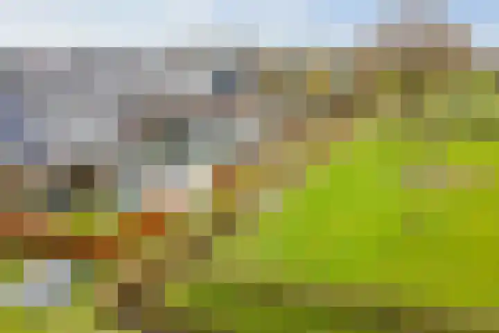 Westererf 12 Nijbroek thumbnail 31