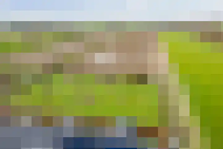 Westererf 12 Nijbroek thumbnail 33