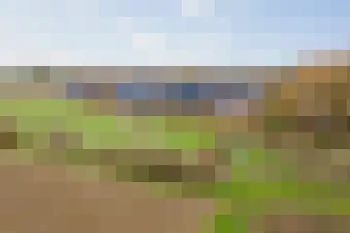 Westererf 12 Nijbroek thumbnail 34