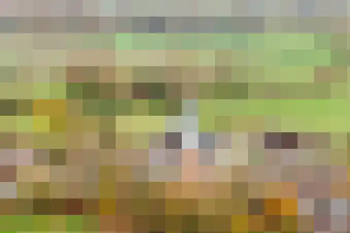 Westererf 12 Nijbroek thumbnail 36