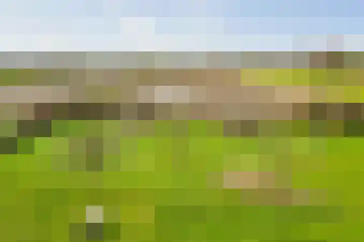 Westererf 12 Nijbroek thumbnail 37