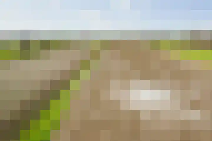 Westererf 12 Nijbroek thumbnail 38