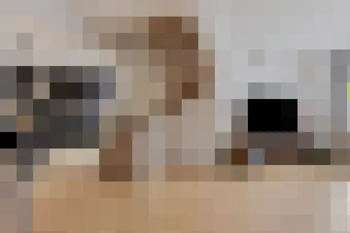 Westererf 18 Rozenburg thumbnail 12