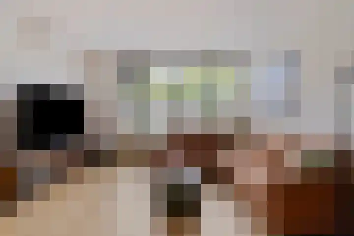 Westererf 18 Rozenburg thumbnail 14