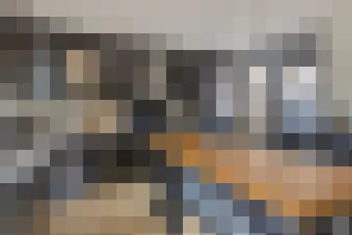 Westererf 18 Rozenburg thumbnail 19