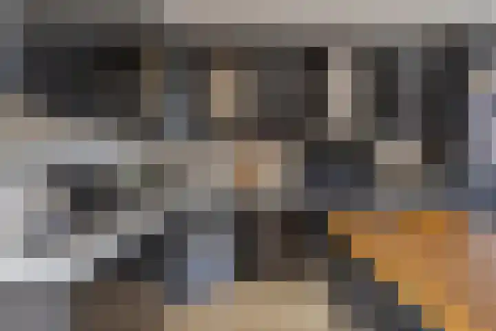 Westererf 18 Rozenburg thumbnail 20