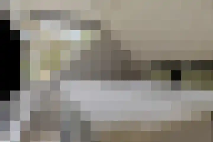Westererf 18 Rozenburg thumbnail 27