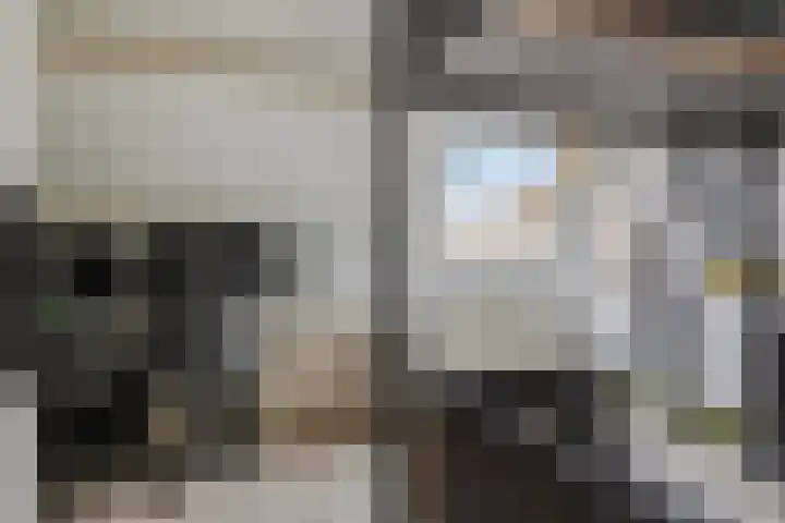 Westererf 18 Rozenburg thumbnail 28