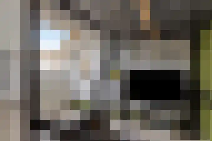 Westererf 18 Rozenburg thumbnail 29