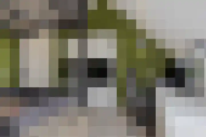 Westererf 18 Rozenburg thumbnail 30