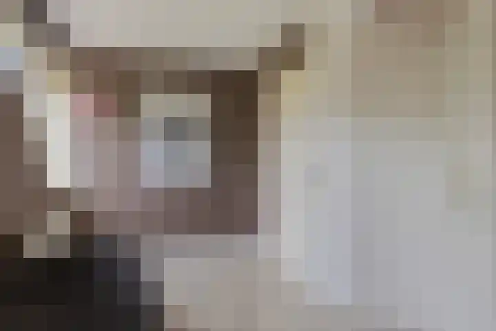 Westererf 18 Rozenburg thumbnail 32