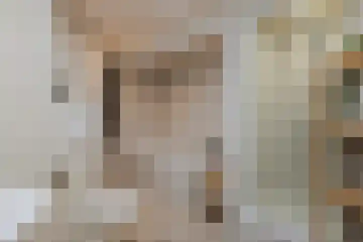 Westererf 18 Rozenburg thumbnail 33