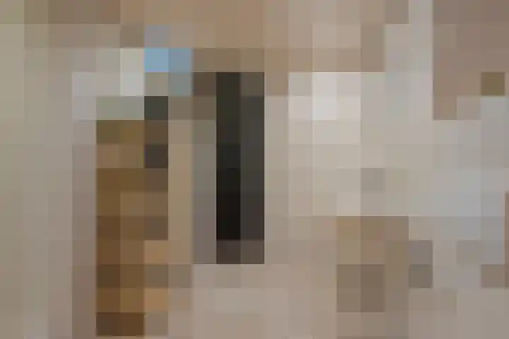 Westererf 18 Rozenburg thumbnail 34