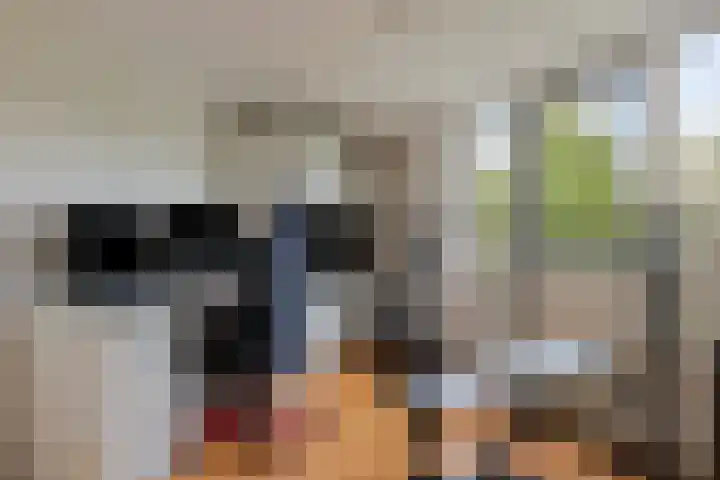 Westererf 18 Rozenburg thumbnail 38