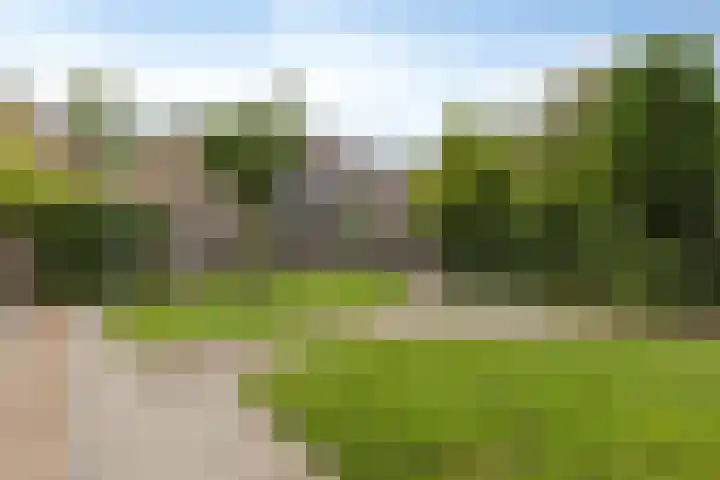 Westererf 18 Rozenburg thumbnail 4