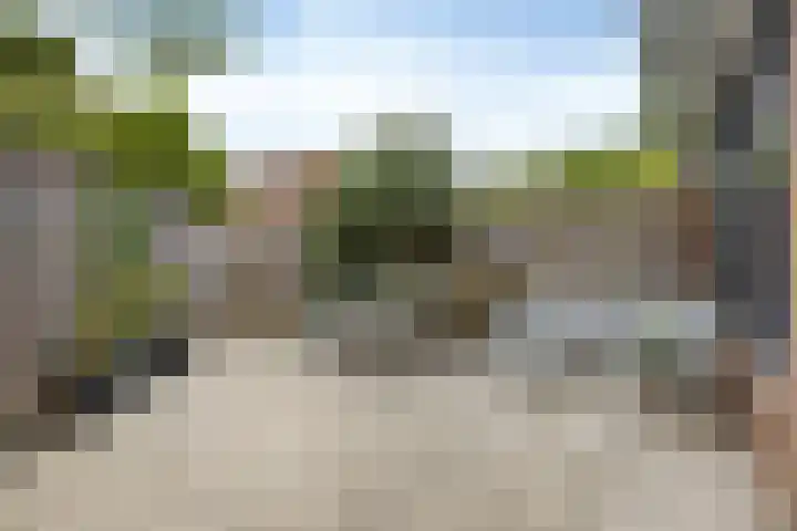 Westererf 18 Rozenburg thumbnail 41