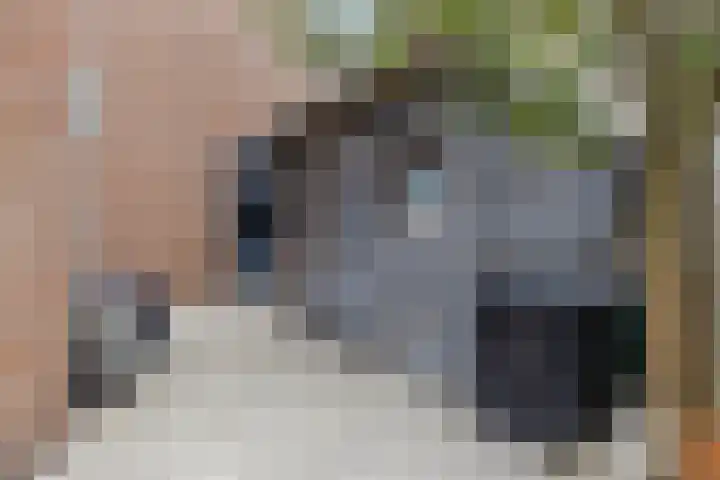 Westererf 18 Rozenburg thumbnail 43