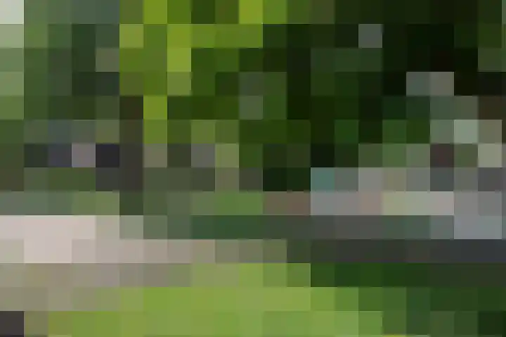 Westererf 18 Rozenburg thumbnail 44