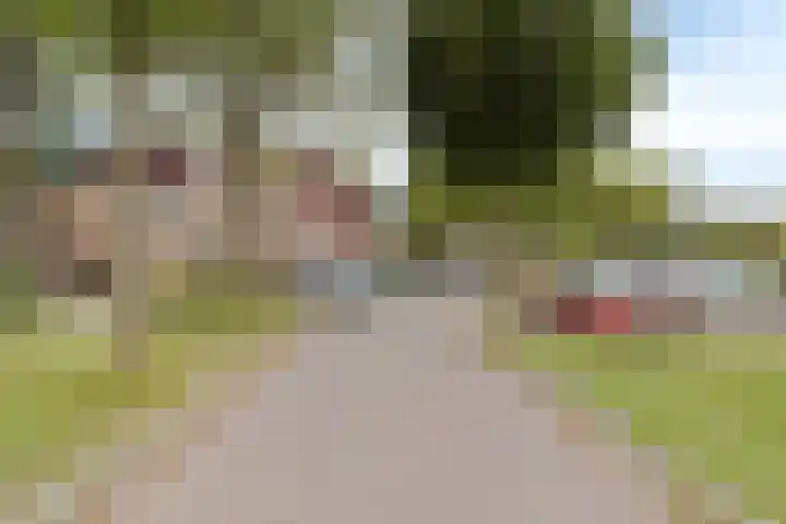 Westererf 18 Rozenburg thumbnail 45