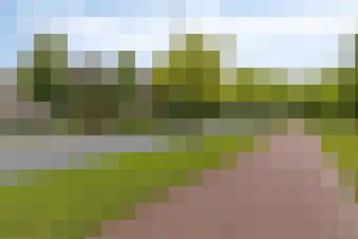 Westererf 18 Rozenburg thumbnail 47