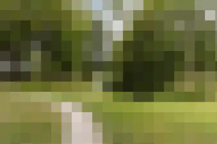Westererf 18 Rozenburg thumbnail 48