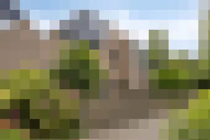 Westererf 18 Rozenburg thumbnail 5